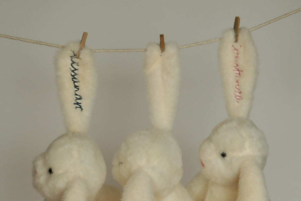 Conejo Personalizado