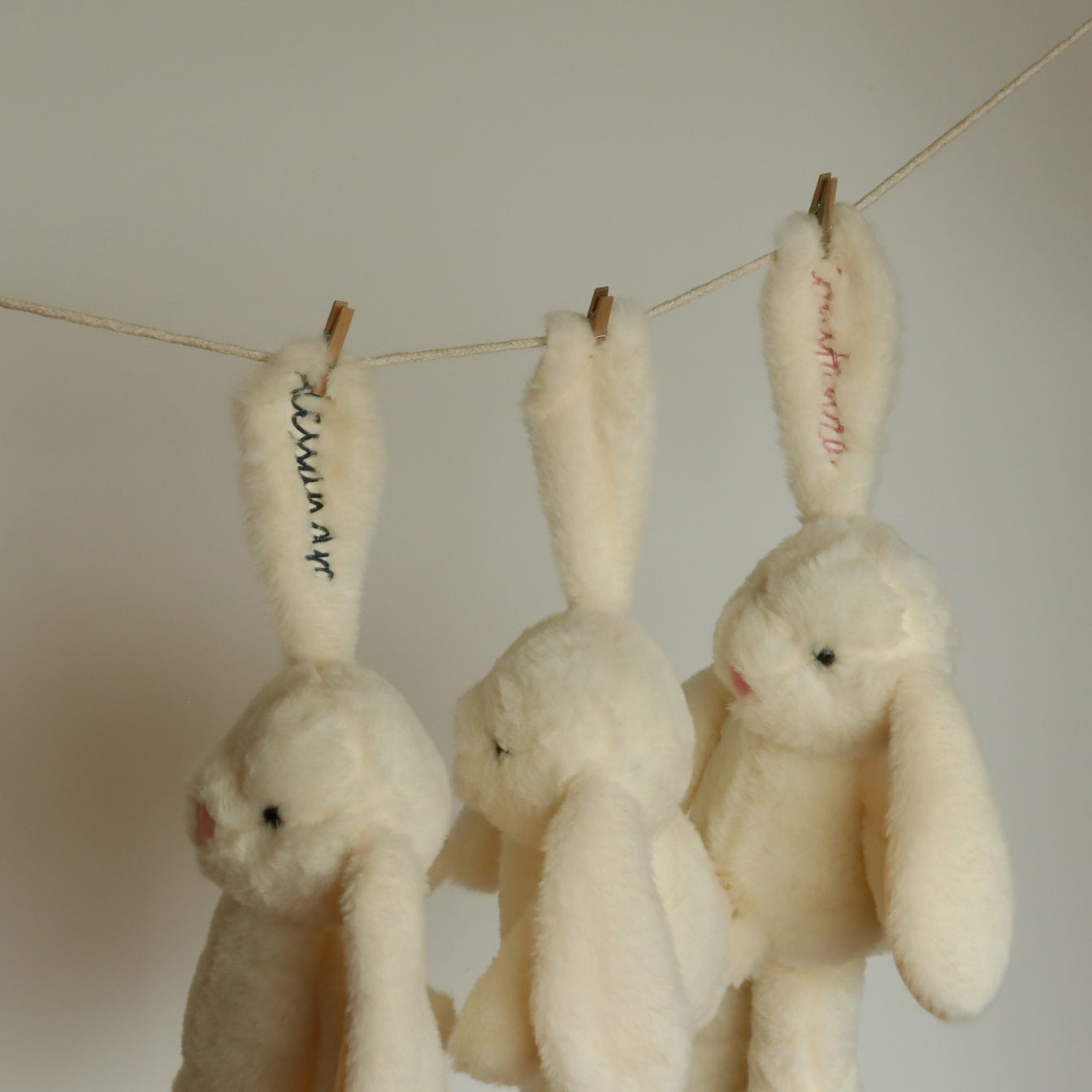 Conejo Personalizado